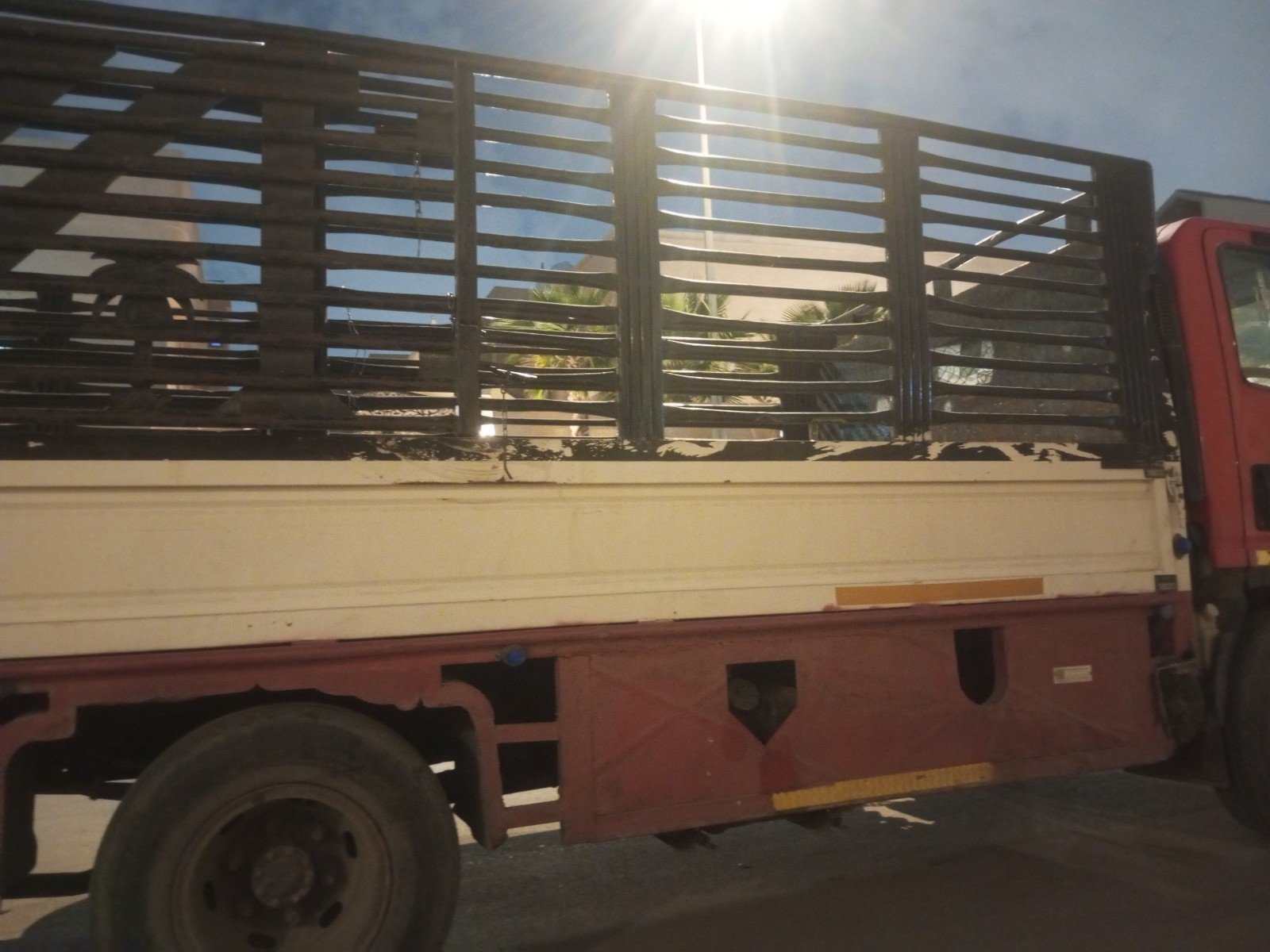 2036_img_20250312_215124_197