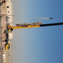 1431_20241112_151222