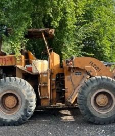 صورة اعلان : شيول فركاوا ٢٢٠