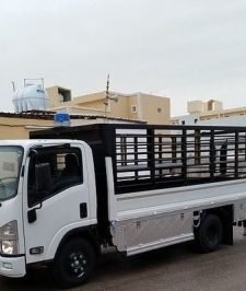 صورة اعلان : دينا نقل عفش الرياض -جدة -جيزان -الدمام