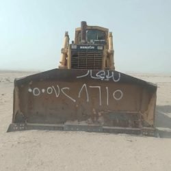 2360_1560x2080-1_-336be5h8yxhnal.jpg-900