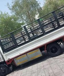 صورة اعلان : دينا للبيع 2008 نقل عام