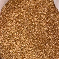 2908_4858d856-cace-465b-a0c6-79e4698295b8