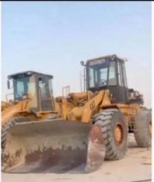 صورة اعلان : للإيجار شيول المنطقة الاحساء وضواحيها