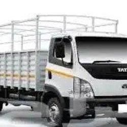 3215_c0b07feb-78ea-4975-ab01-e70d9421a8f0