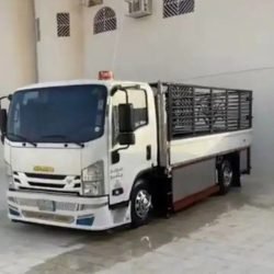 3261_fc930ed8-6fc2-4ed9-93e6-f730697961af