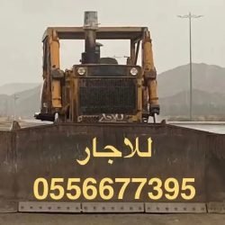 3487_792x679_93072d6f-222c-4bdc-ab82-c123292dbdac.jpg-900