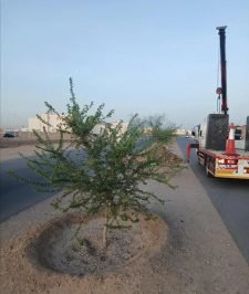 صورة اعلان : ونش كرين سله للإيجار اليومي والشهري داخل المدينة وخارجها