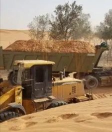 صورة اعلان : شيولات قلابات للايجار اليومي في الجله وتبراك