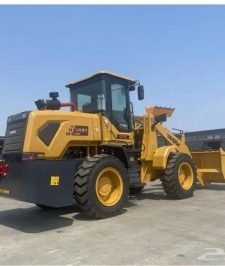 صورة اعلان : شيول 2025