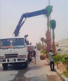 صورة اعلان : رافعه ونش كرينات للايجار جدة داخل شغل راقم جوال وتس اب