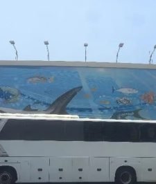 صورة اعلان : حافلات وباصات للايجار 0552963288