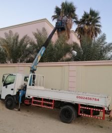 صورة اعلان : دينة كرين رافعة سلة عمال الهفوف