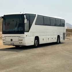 7103_1012x1800_235b22eb-1758-4f51-8d75-924297a5f2c3.jpg-700