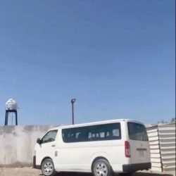 7215_1025x1800_831832a6-84a4-4980-87a8-5ca1106e6165.jpg-900