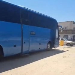 7237_578x800-1_-7cs6uxf1kzffac.jpg-900