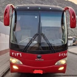 7239_1277x1341-1_-dx4dbdxrejbtud.jpg-900