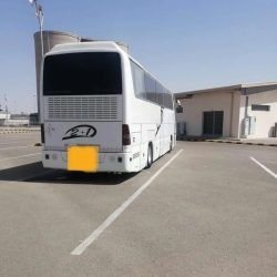 7253_900x1200-1_-go__mtc1ndq3mdexntg1mjq1nzgznji2oq.jpg-900