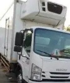 صورة اعلان : سيارات ديانات ثلاجه للايجار توصيل