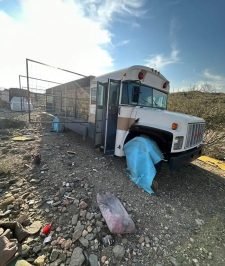 صورة اعلان : سيارة نحل باص موديل 2000