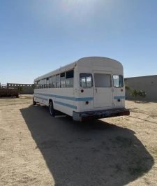 صورة اعلان : باص يصلح لاحقين الحلاال