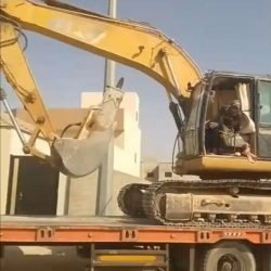 7875_img_20250906_161746