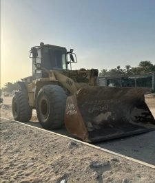 صورة اعلان : شيول 950