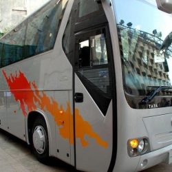 8135_bas