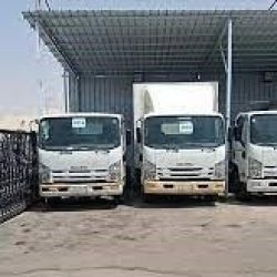 8145_dyanat