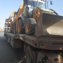 8147_whatsapp_image_2025-09-17_at_9.45.10_pm