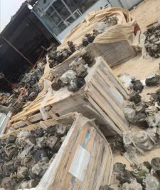 صورة اعلان : كومبروسرات مستورد بيع كمبراسر (جملة مفرد)