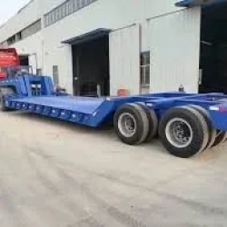 8298_m1