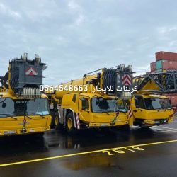 Crane_cranes-rental-Dammam-_-Riyadh-Jeddah-Mecca_31