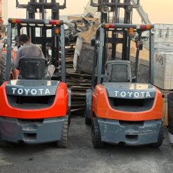 FB_IMG_1771338430316