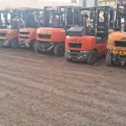 FB_IMG_1772820525476-1