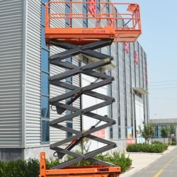 IMG-20260303-WA0008-1