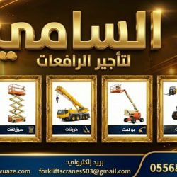 InShot_20260216_011056149