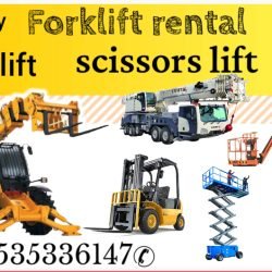 Lumii_٢٠٢٤٠٧٢٥_١٦١٣٥٤٤٠٨