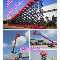 Lumii_٢٠٢٦٠٢٢٠_٠٢٢٠٤٤٤٧٦